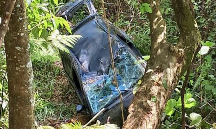 Condutora morre após carro cair em abismo na MG-164, em Itapecerica