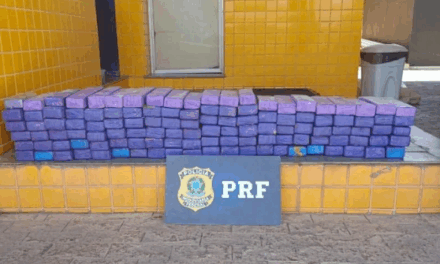 Dois são presos transportando grande quantidade de maconha em Bom Despacho