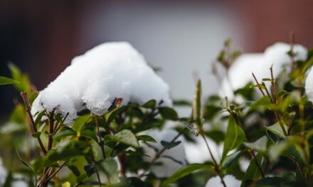Formiga-MG está entre as 396 cidades sob risco de tempestade e granizo, alerta o Inmet