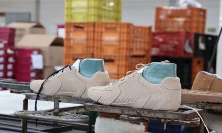 Setor calçadista prevê queda de 2%  