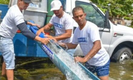 Peixamento fortalece pesca artesanal no Norte  