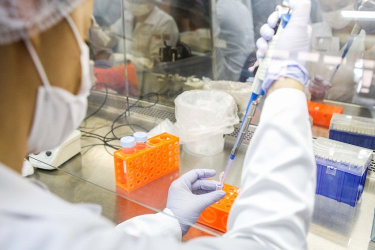 Mais de 4 mil casos de dengue em JF  