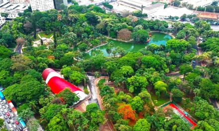 Parque Municipal de Belo Horizonte terá praças de convivência e reforço na segurança