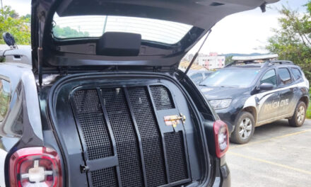 PCMG prende homem acusado de abusar da filha em Carmo do Cajuru