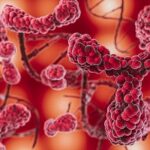 OMS registra aumento expressivo da resistência da gonorreia a tratamentos