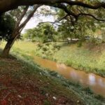 Secretaria de Gestão Ambiental promove limpeza no Rio Formiga