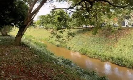 Secretaria de Gestão Ambiental promove limpeza no Rio Formiga