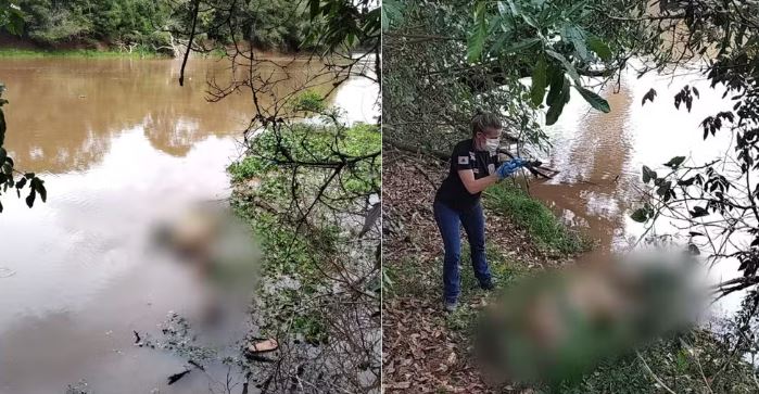 Corpo em decomposição é encontrado às margens do Rio Sapucaí, em Turvolândia (MG)