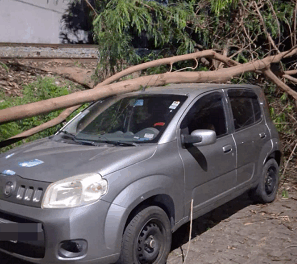 Árvore cai sobre veículo e é removida pelos bombeiros em Formiga