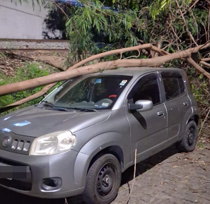 Árvore cai sobre veículo e é removida pelos bombeiros em Formiga