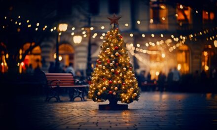 Formiga anuncia programação completa do “Natal Encanto & Luz”